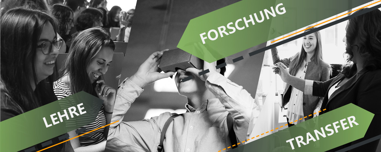 Lehre, Forschung, Transfer visualisiert